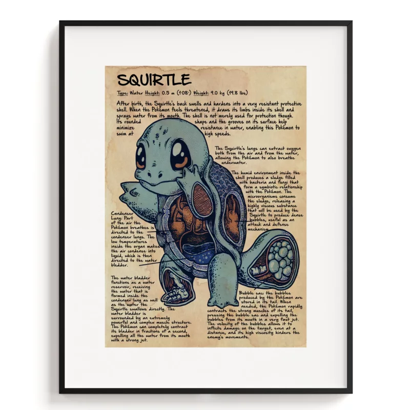 Pokémon Poster - Squirtle Anatomy