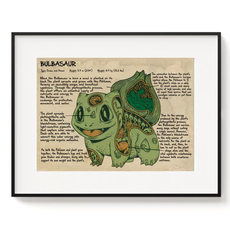 Pokémon Poster - Bulbasaur Anatomy