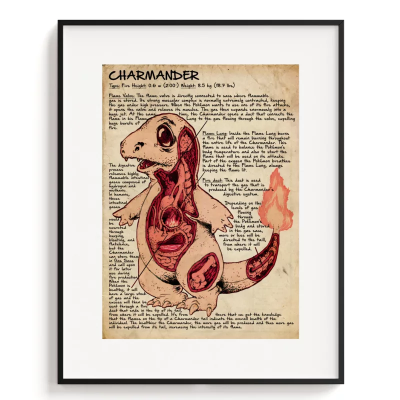 Pokémon Poster - Charmander Anatomy