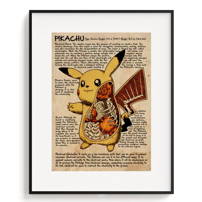 Pokémon Poster - Pikachu Anatomy