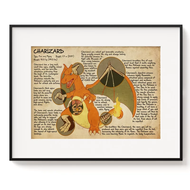 Pokémon Poster - Charizard Anatomy