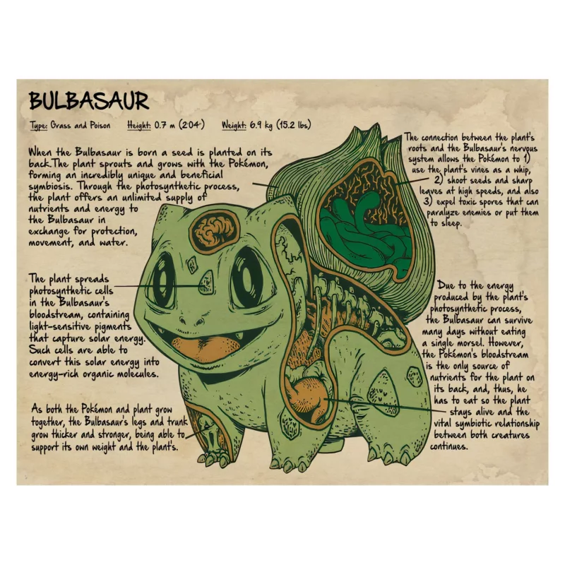 Pokémon Poster - Bulbasaur Anatomy