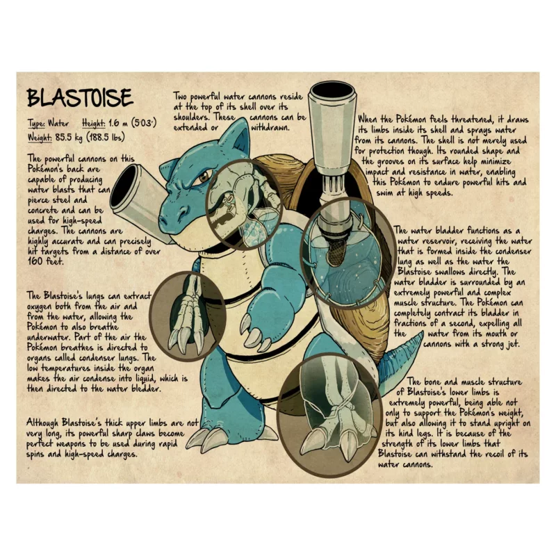 Pokémon Poster - Blastoise Anatomy
