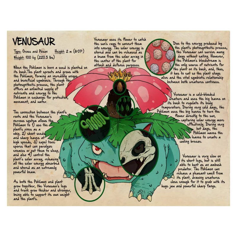 Pokémon Poster - Venusaur Anatomy
